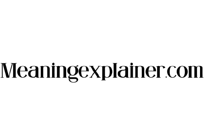 Meaningexplainer Logo