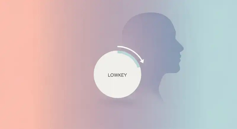 How is lowkey used in social media captions?