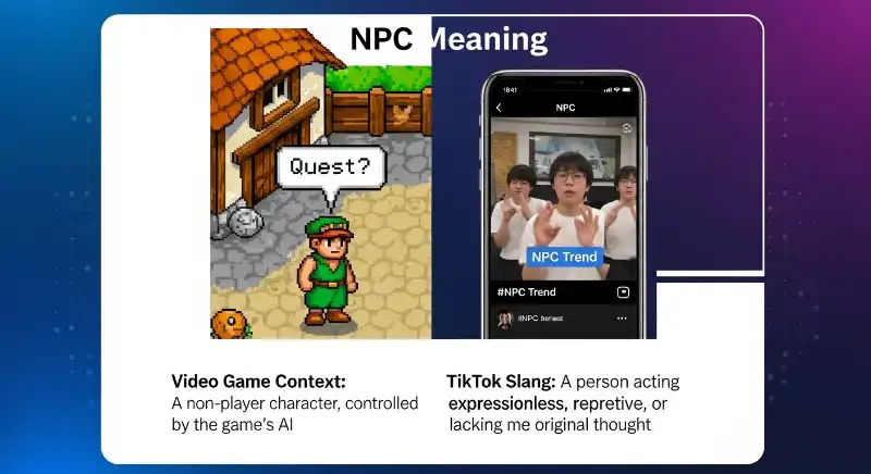 What does NPC mean in slang?