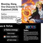 What Is the Core Dictionary Meaning of Sabo?