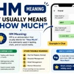 HM meaning explained visually with a smartphone chat example, showing that HM commonly stands for “How Much” in text messages and social media conversations.