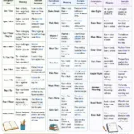 Homophones meaning explained with 100 common examples, definitions, and sentences showing the difference between words like their, there, they're, see, and sea.