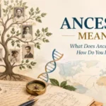 Ancestry meaning explained with a family tree, DNA, and family history